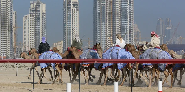 Historical photograph of camel racing in Dubai in 2006; representative of the sport, not the current Al Marmoom racecourse or meeting.