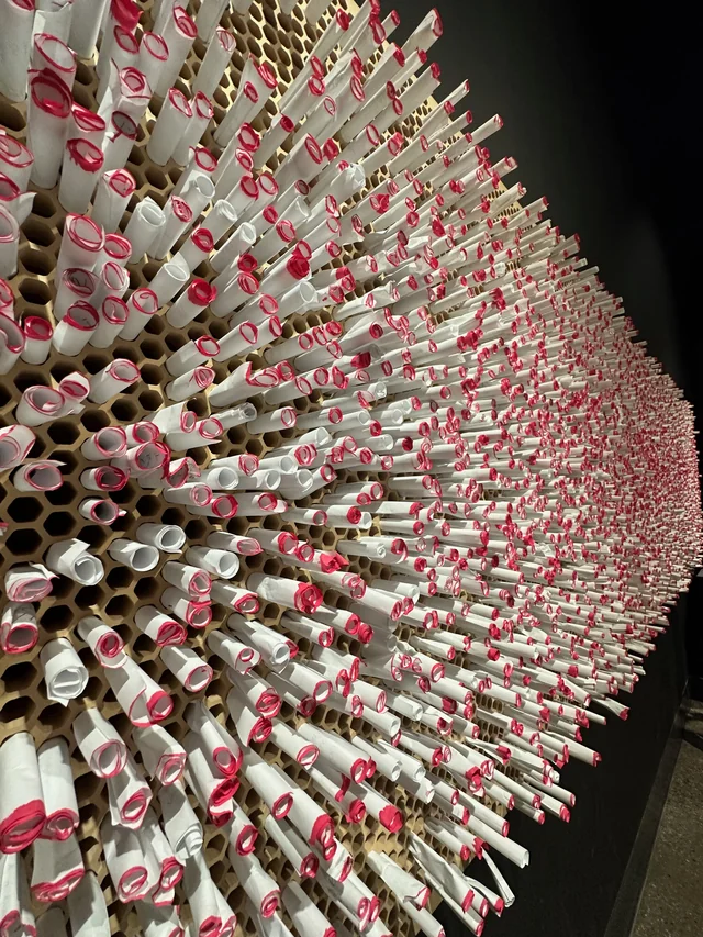 Representative installation of rolled paper notes projecting from a honeycomb wall