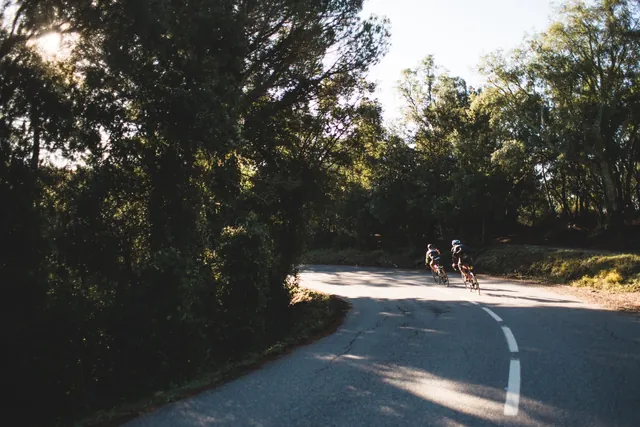 Two cyclists rounding a bend on a sunny paved road